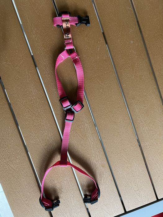 Szelki dla psa tozmiar s różowe