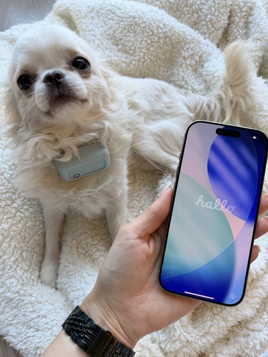 Iphone 16 pro tytan