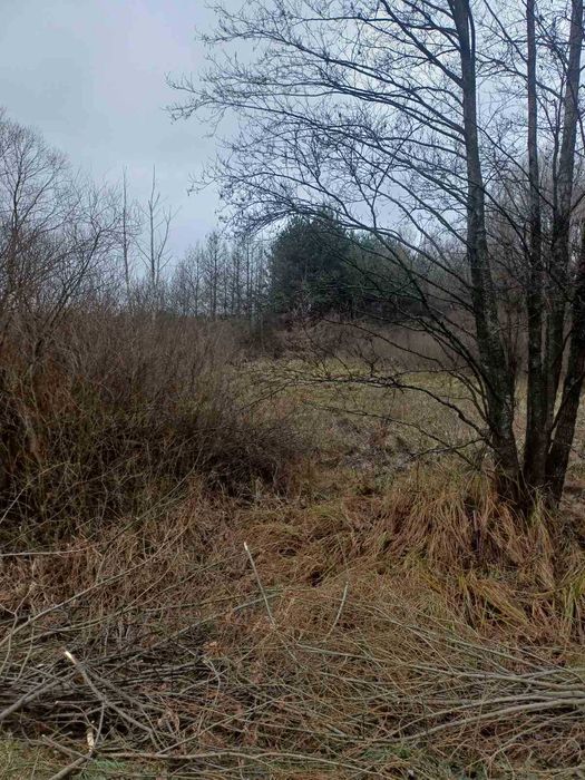 земельна ділянка 1,0675 га, с. Рижани під забудову