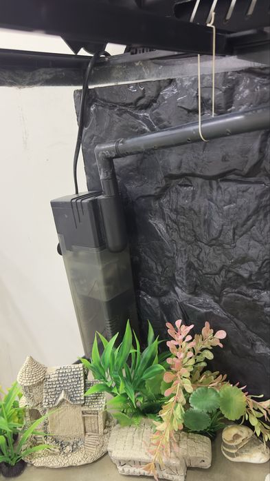 Aquario 100L com decoração e armario