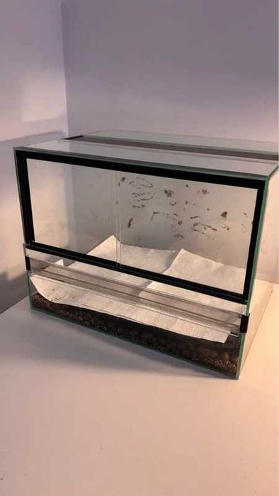 Terrarium Bardzo dobry