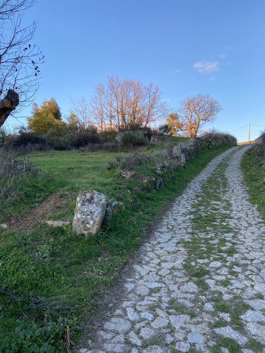 Terrenos rústicos para venda em Paredes da Beira, S. João da Pesqueira