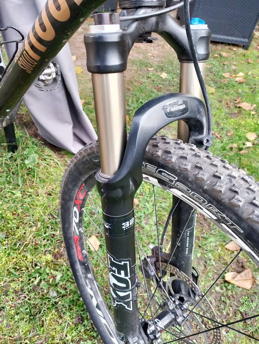 Rower MTB ROSE Count Solo 19 "