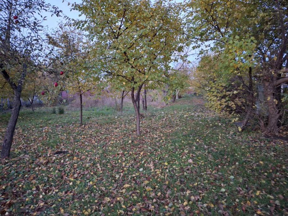 Продаж будинку у В.Березовиця