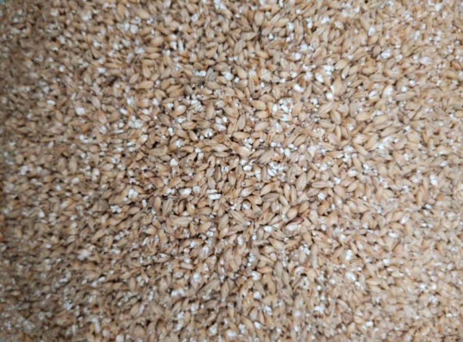 Продам Солод Светлый Помол Тоже Делаем!