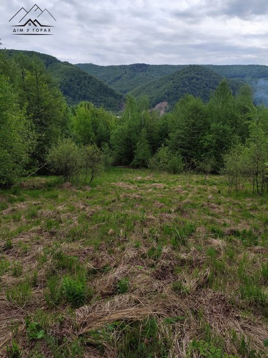 Земельна ділянка 30.7 сот. в с. Шешори з панорамним краєвидом