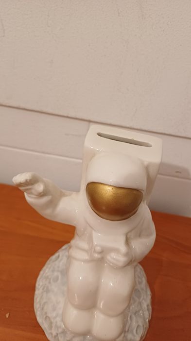 Mealheiro astronauta