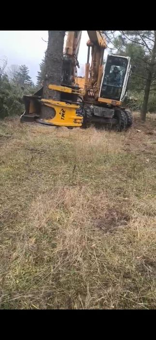 Profesjonalna wycinka drzew i czyszczenie działek oraz sadów