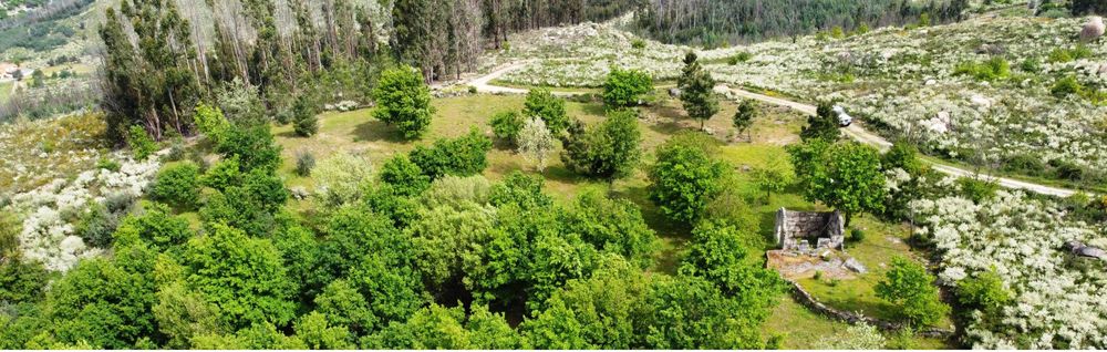 Seia - vendo/troco/permuto