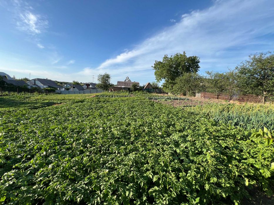 Продається будинок в м. Сквира.