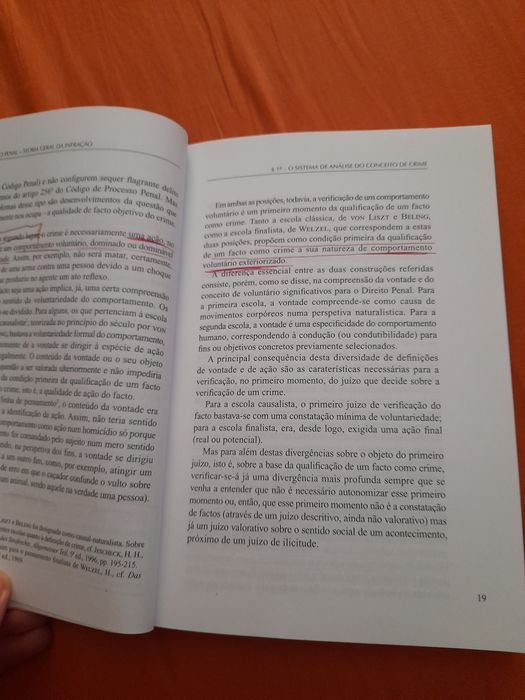 Direito Penal Parte Geral - Prof. Maria Fernanda Palma