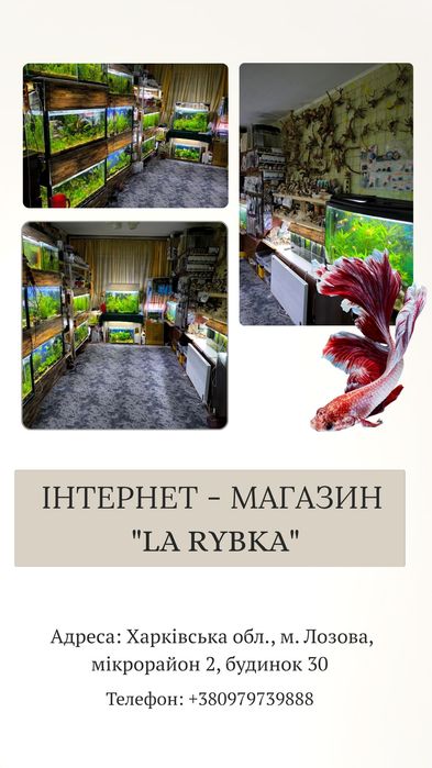 Все для акваріума та рибок