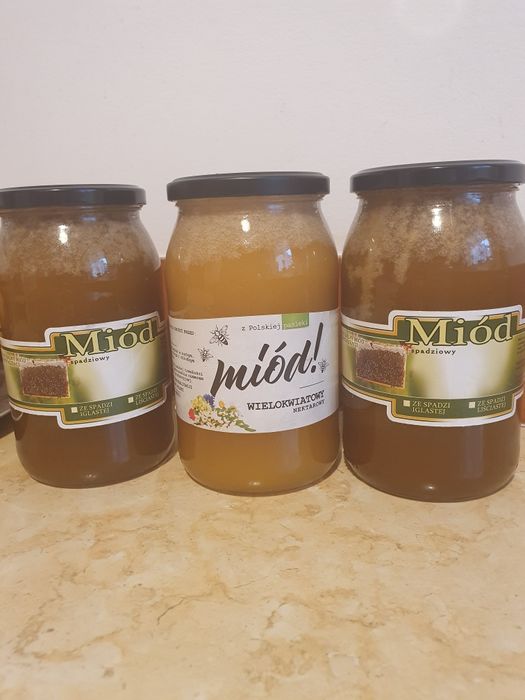 Miód spadziowy i wielokwiatowy