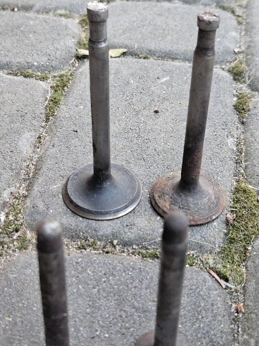 Sprężyny zaworowe junak m10