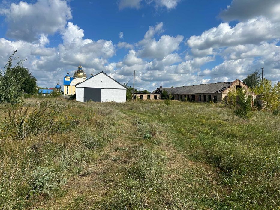 Продам приватизовану земельну ділянку 1,2 га