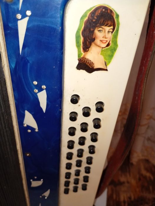 Гармонь Весна с наклейками