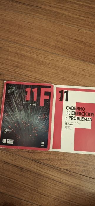 Novo  11 F - Física