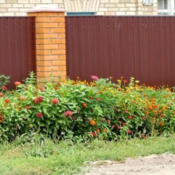 Профнастил + металочерепиця — ціни виробника