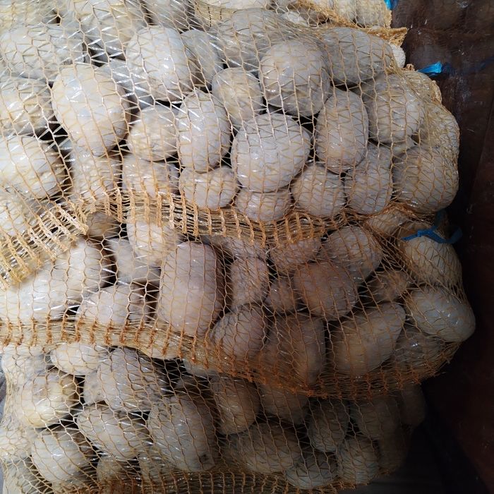 Sprzedam ziemniaki soraja i gala