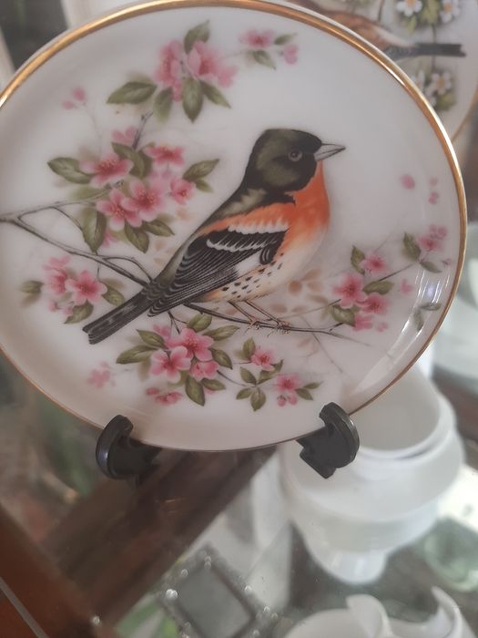 Porcelain Plates434775662778787843
