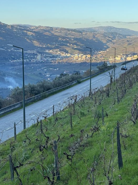 Quinta Douro Cambres N226