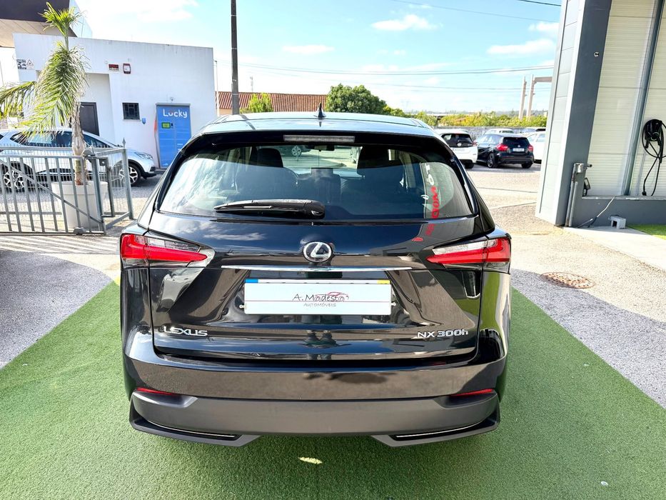 Lexus NX 300h Executive Plus506550694603008007