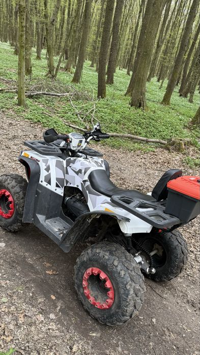 Квадроцикл Forte Braves 200 доставка