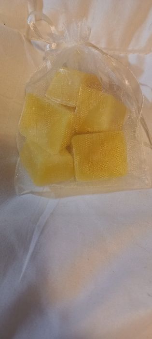 Wax melts Parfun Épices