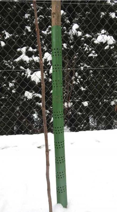 Osłonka na drzewka opaska na pień 100cm 10 sztuk