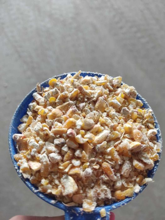 KUKURYDZA ćwiartki walcowana gnieciona 20kg SUPER