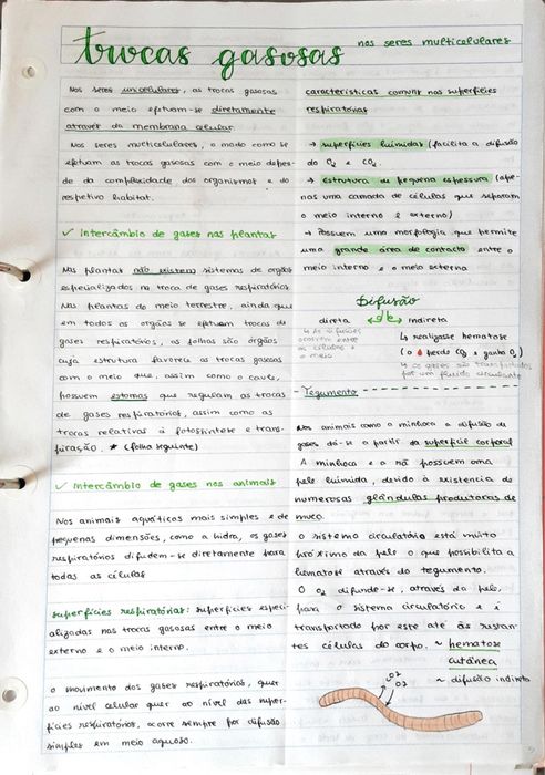 Resumos biologia e geologia 10º/11º para Exame Nacional IAVE