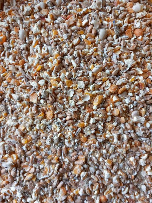Pasza dla drobiu 1 kg (38)