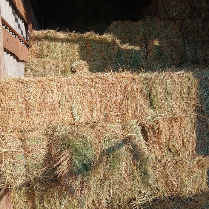 Продається  сіно