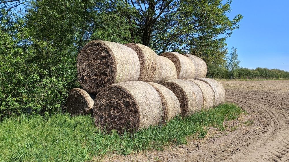 Sprzedam słomę Brzeg