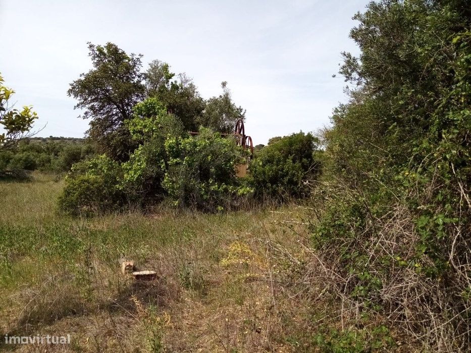 Terreno Rustico com 11 136m2, Loulé, Algarve