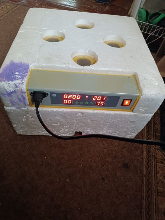 Інкубатор для яєць