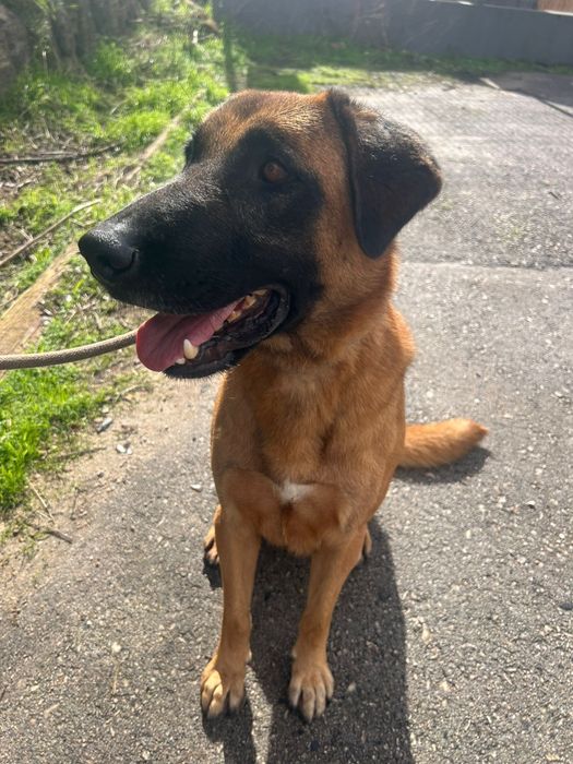 Meninao para super família carinhosa