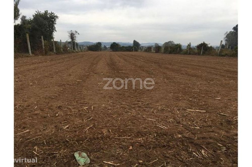 Agricultural Land for Cultivation
