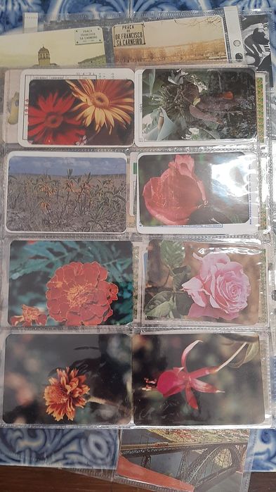 83 calendários para colecionadores