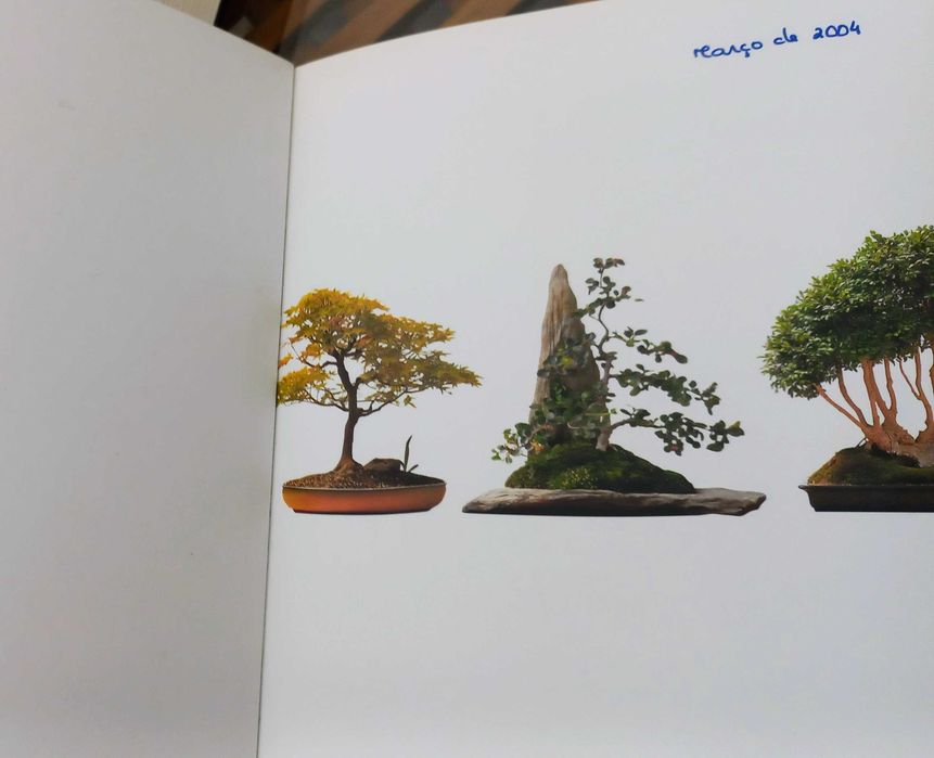 Cómo cultivar los mejores bonsáis