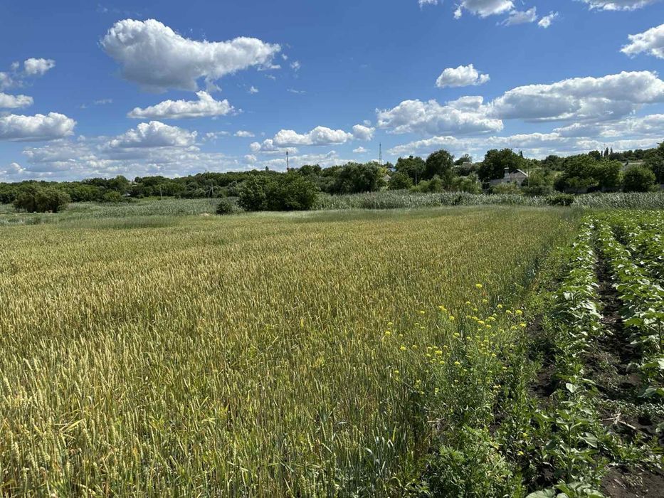 Продам приміщення с.Голубівка