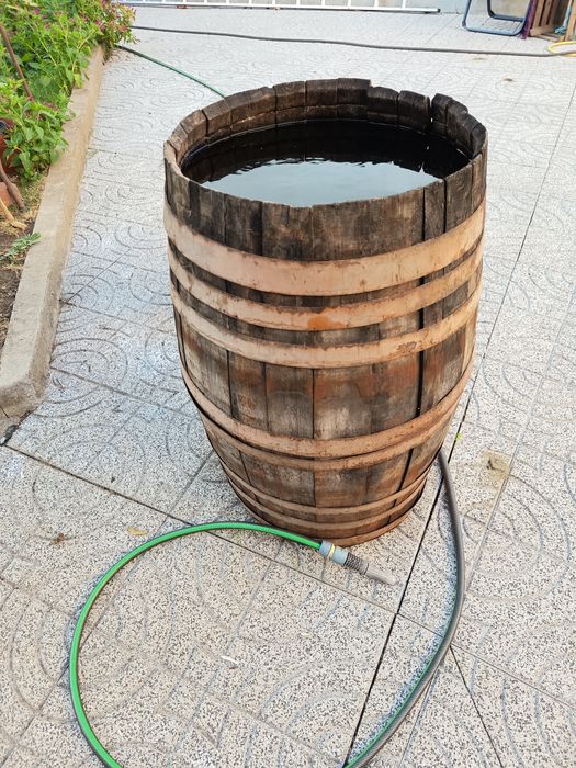 Pipa antiga vintage