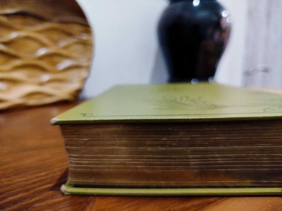 Encyclopédie des ouvrages / Manual/ Costura / Bordados