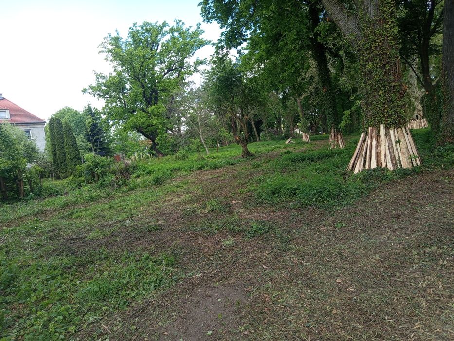 Mulczowanie karczowanie koszenie nieużytków