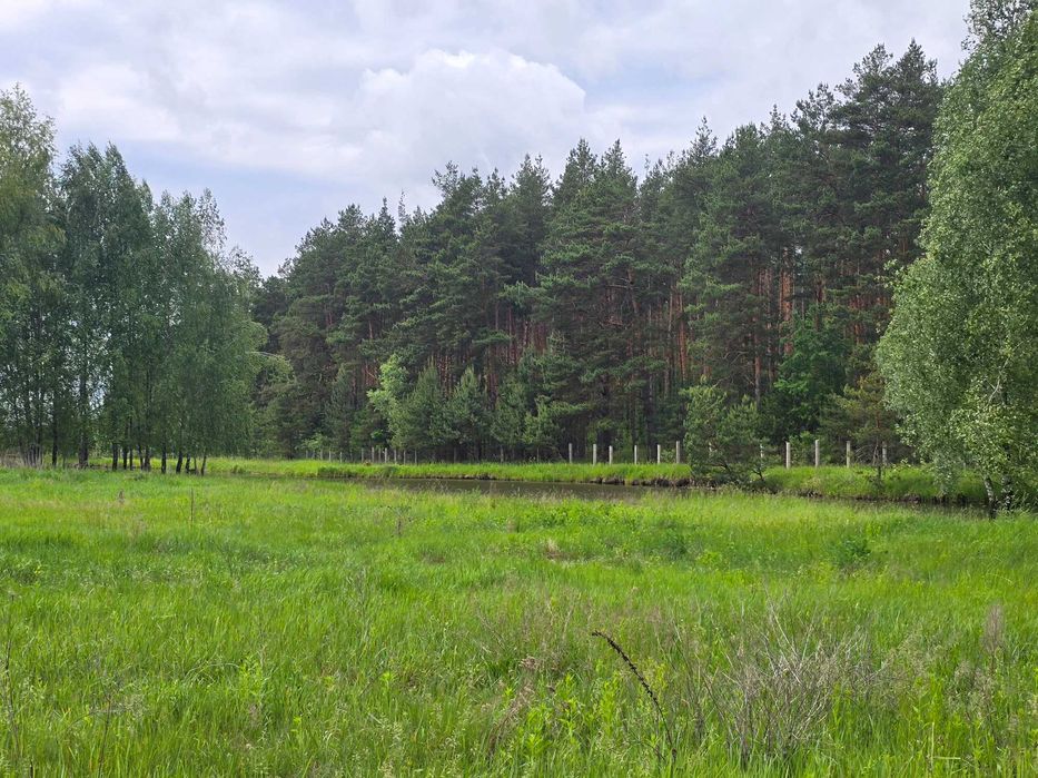 Ділянка біля лісу з власним озером. Є газ, світло, вода. 3.27 Га
