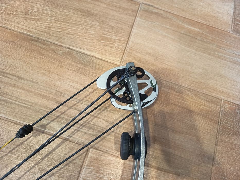 Arco compound hoyt (composto)