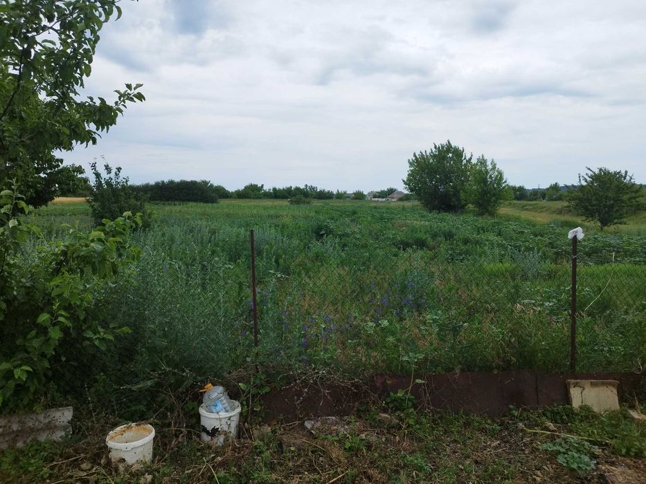 Будинок в силі в Харківській області