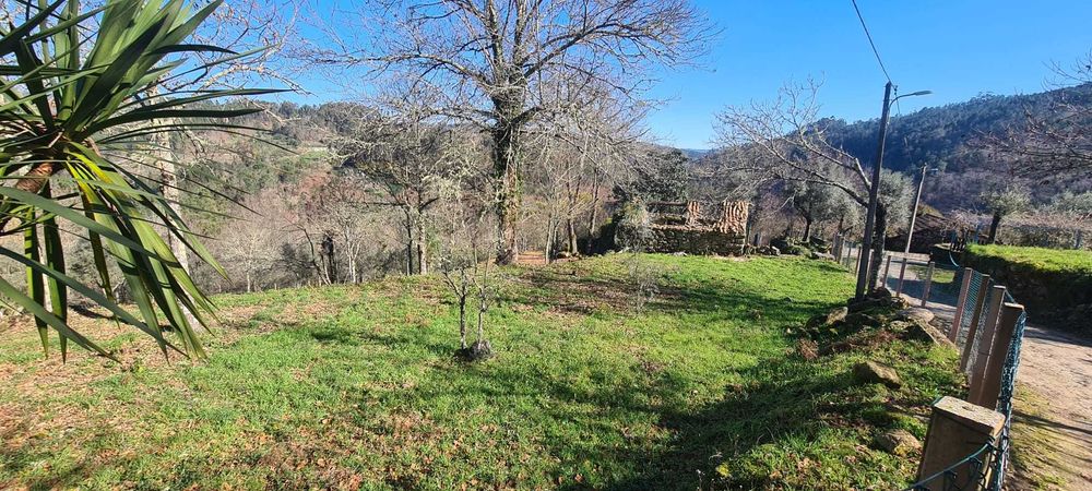 Terreno com Ruínas e Grande Potencial — Próximo Termas de S. Pedro Sul