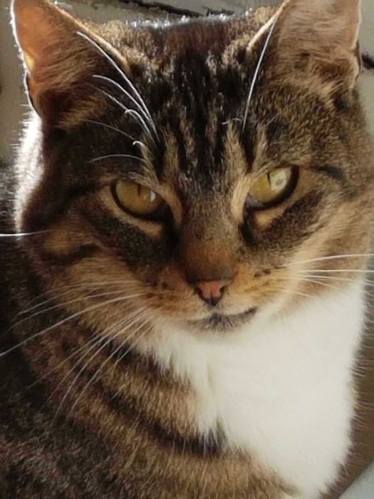 Dom pilnie poszukiwany