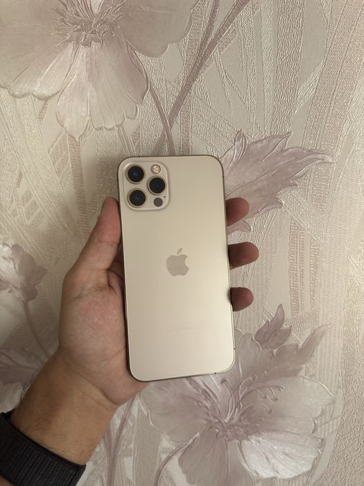 iPhone 12 Pro 256 GB